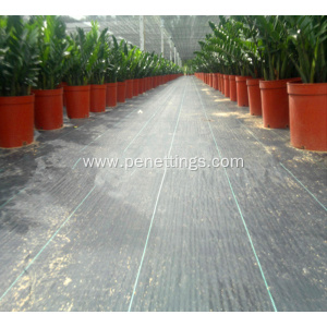 agricultural ground cover netting
